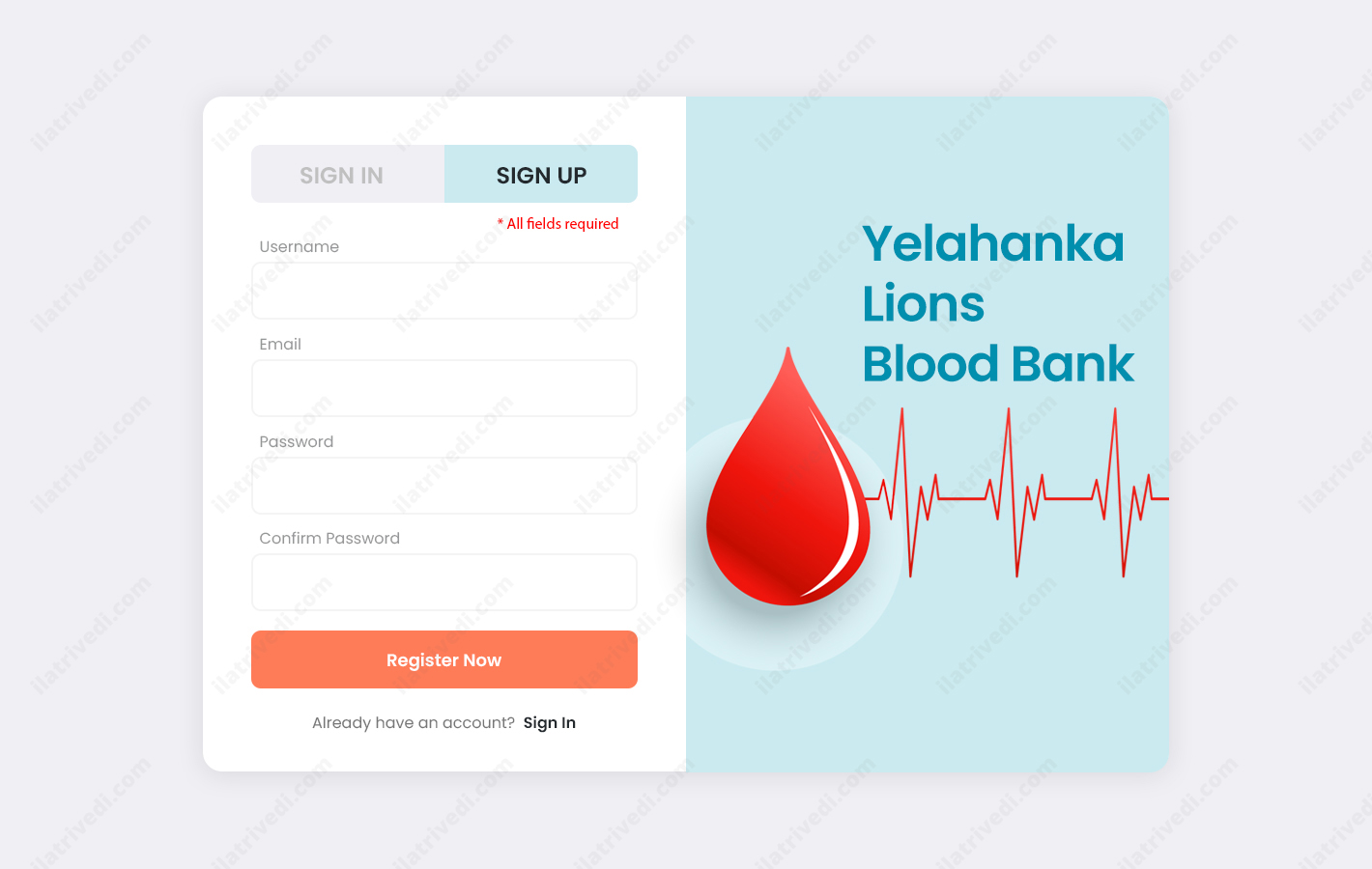 webdesign-bloodbank-2